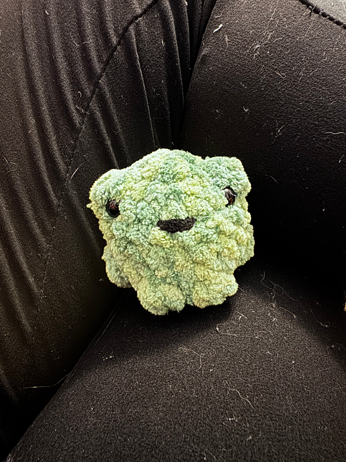 Perry the Pocket Frog