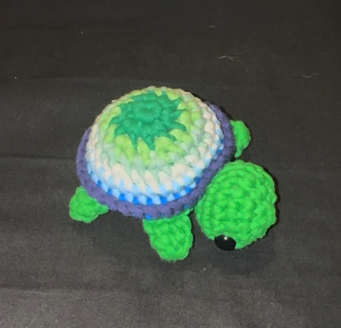 Pride Turtles