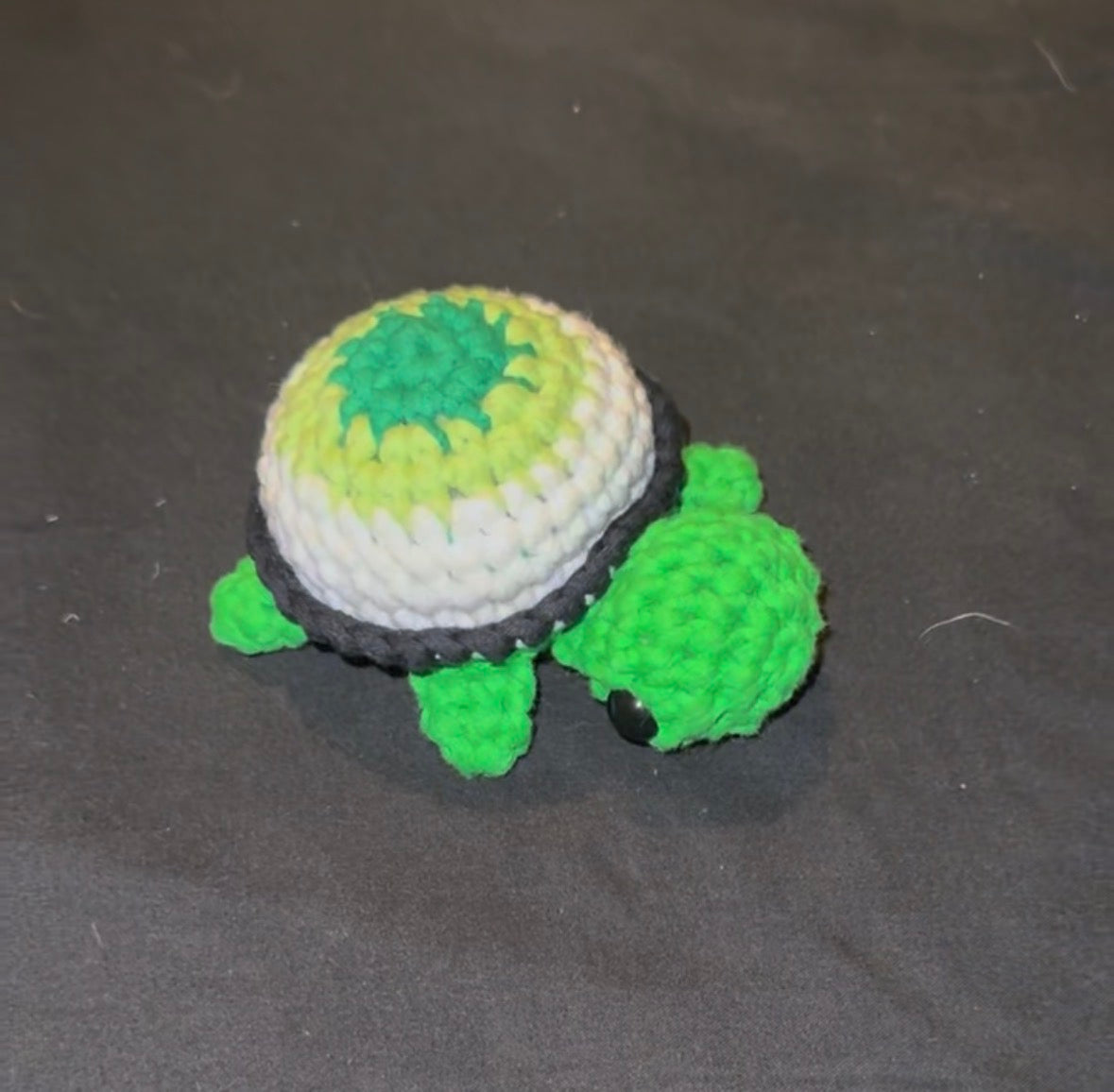 Pride Turtles