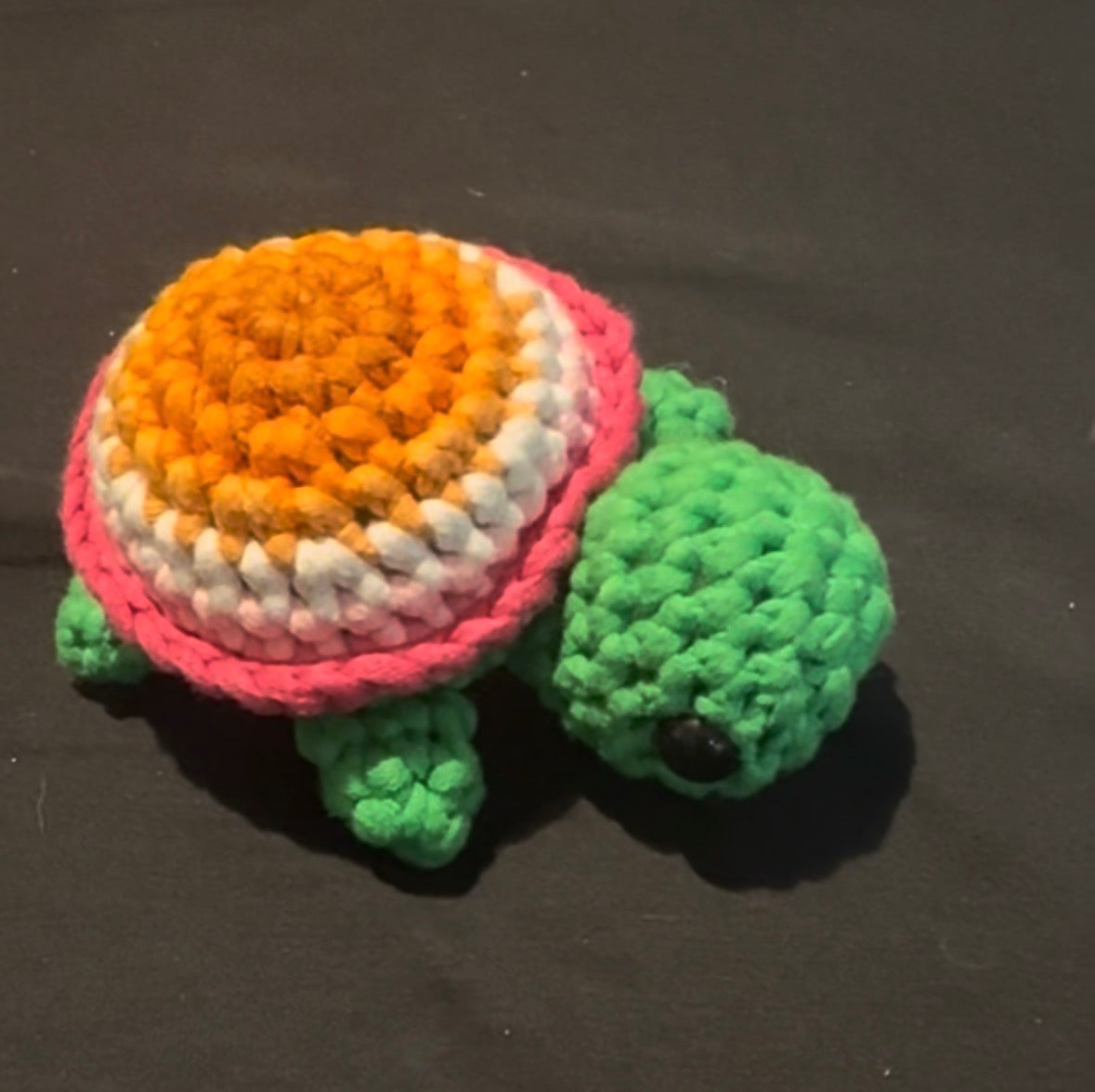Pride Turtles