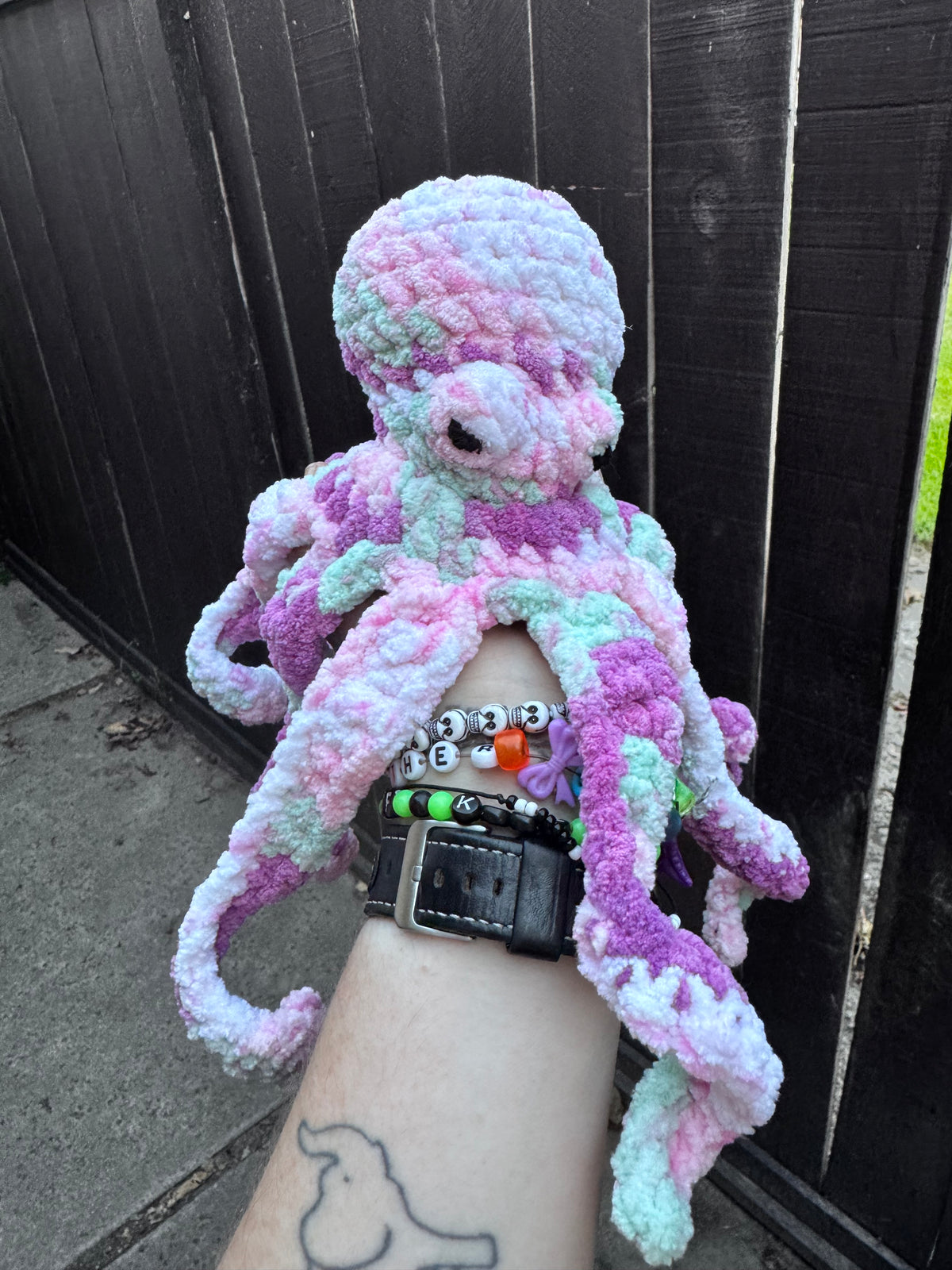 Crystal the Octopus