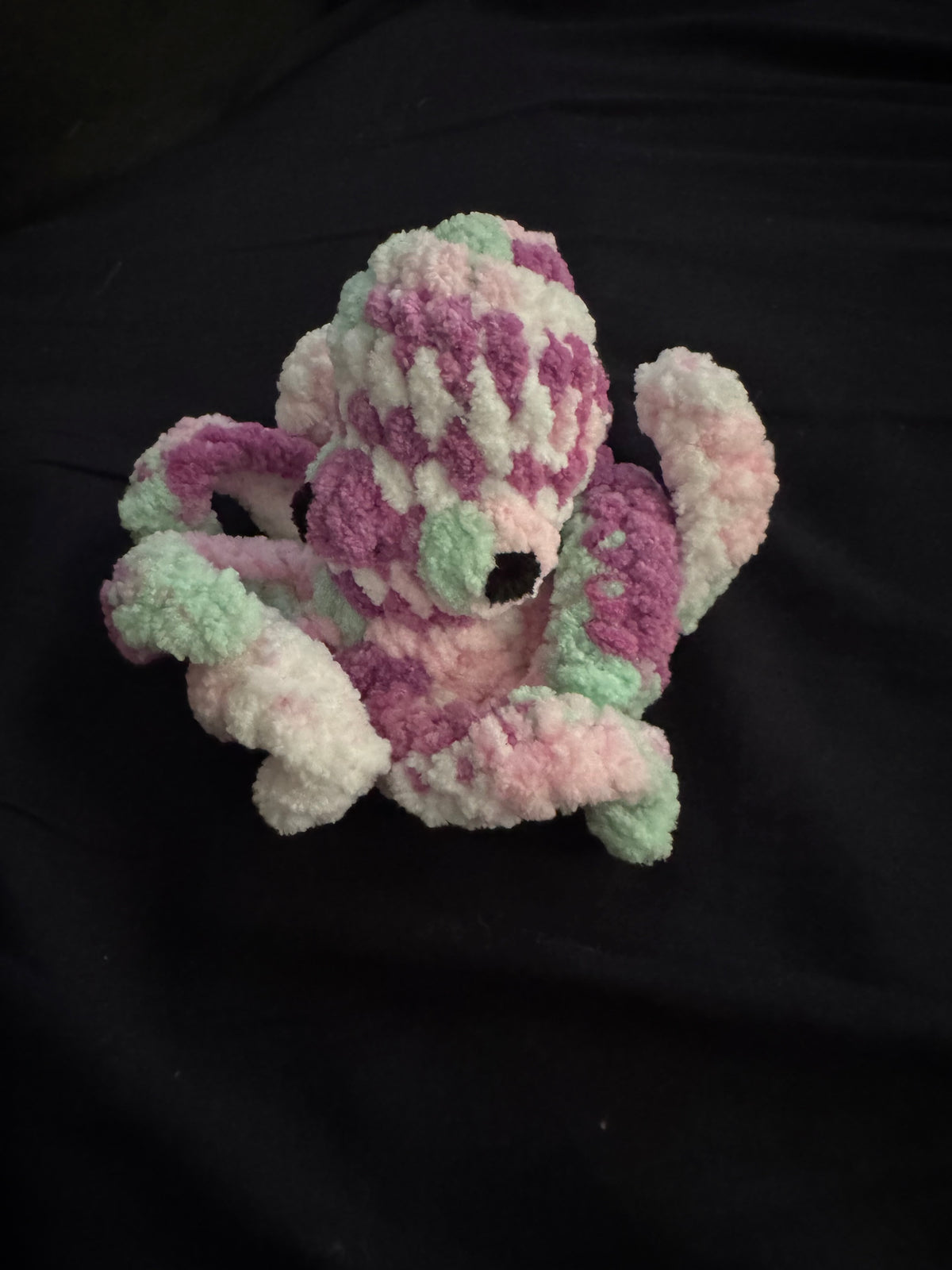 Pearl the Baby Octopus