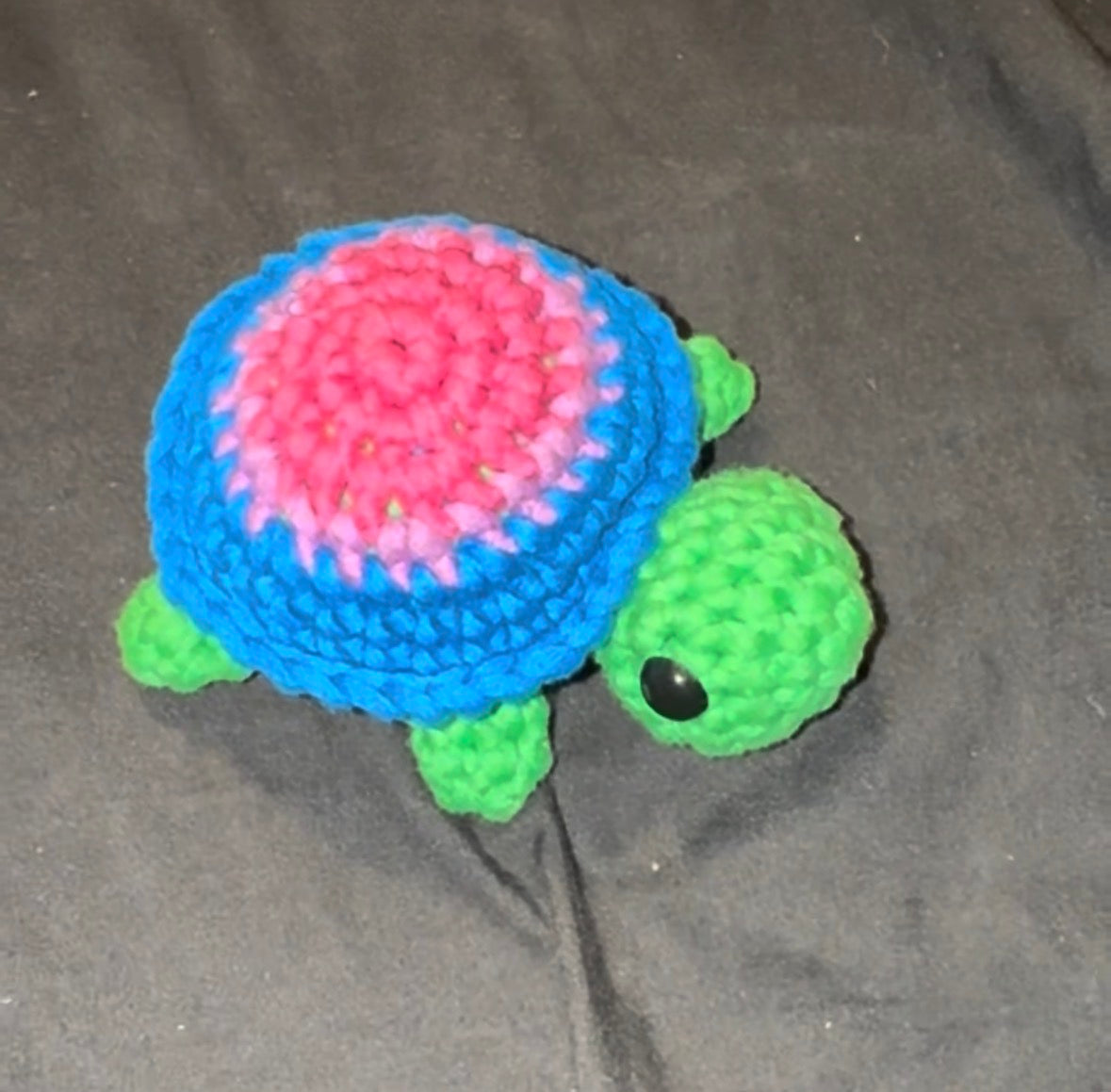 Pride Turtles