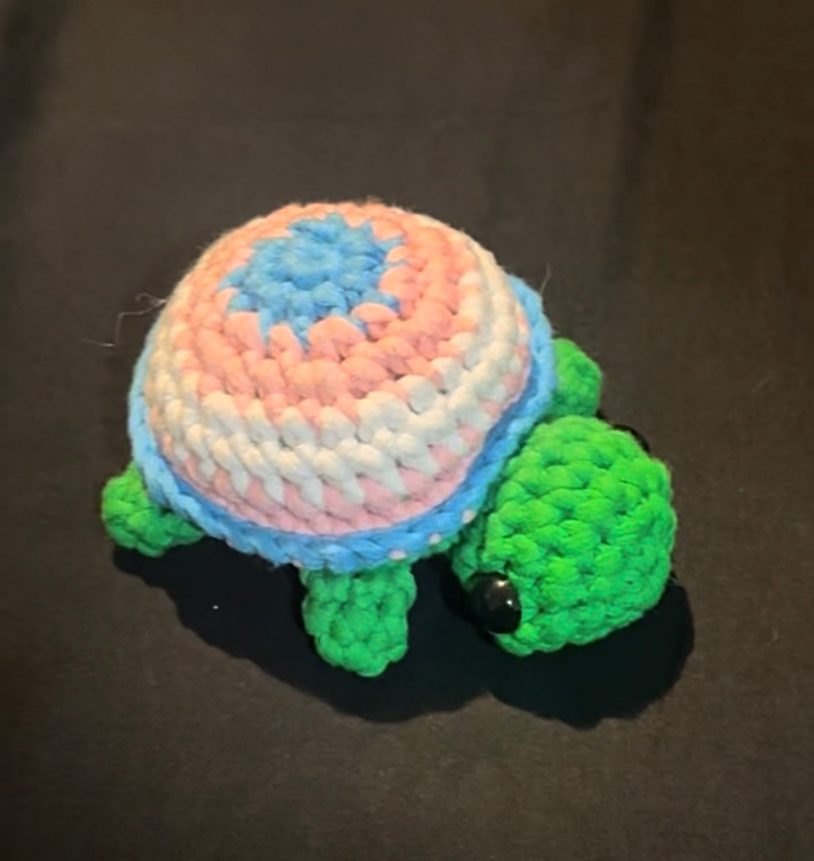 Pride Turtles