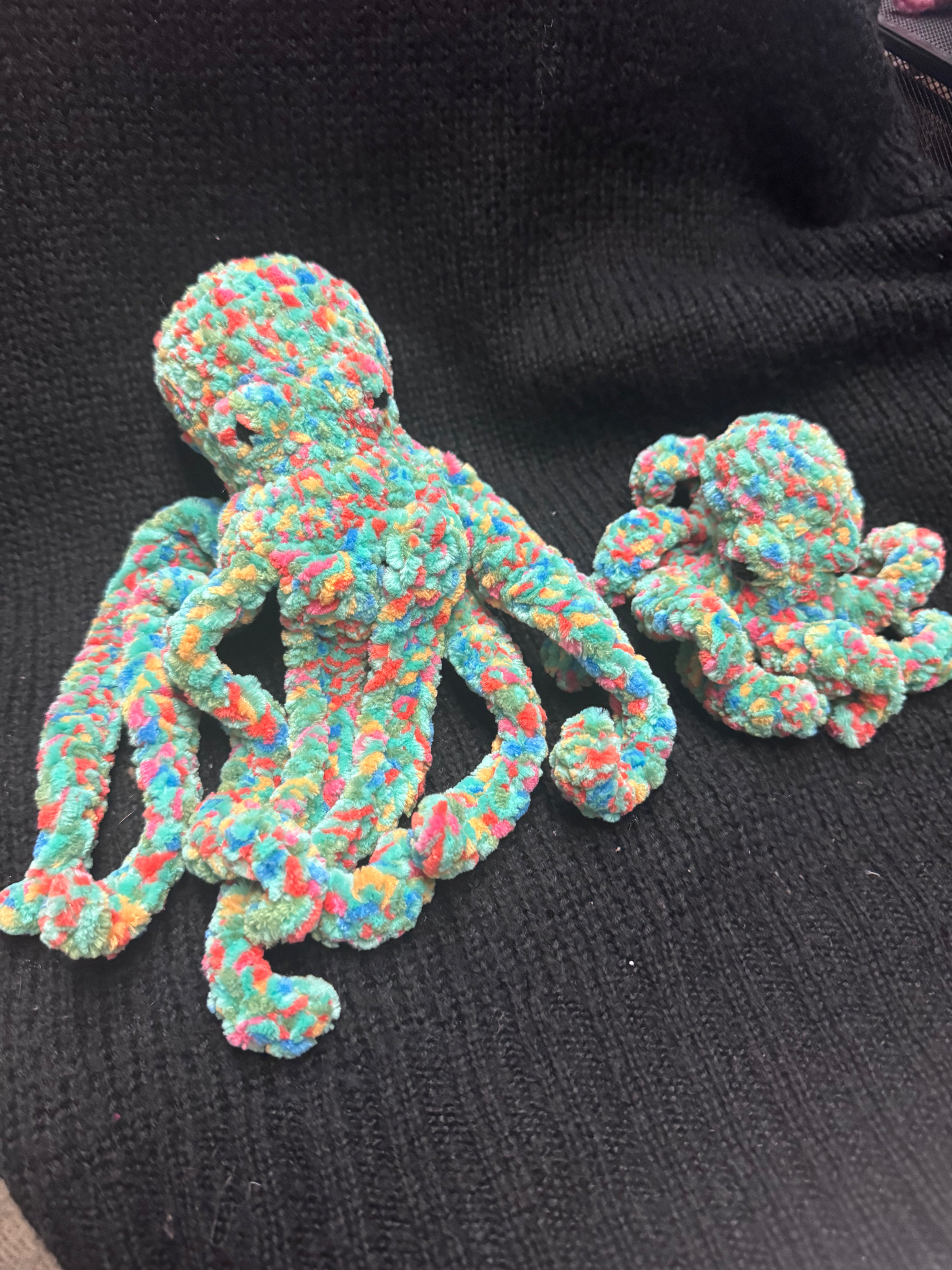 Pearl the Baby Octopus