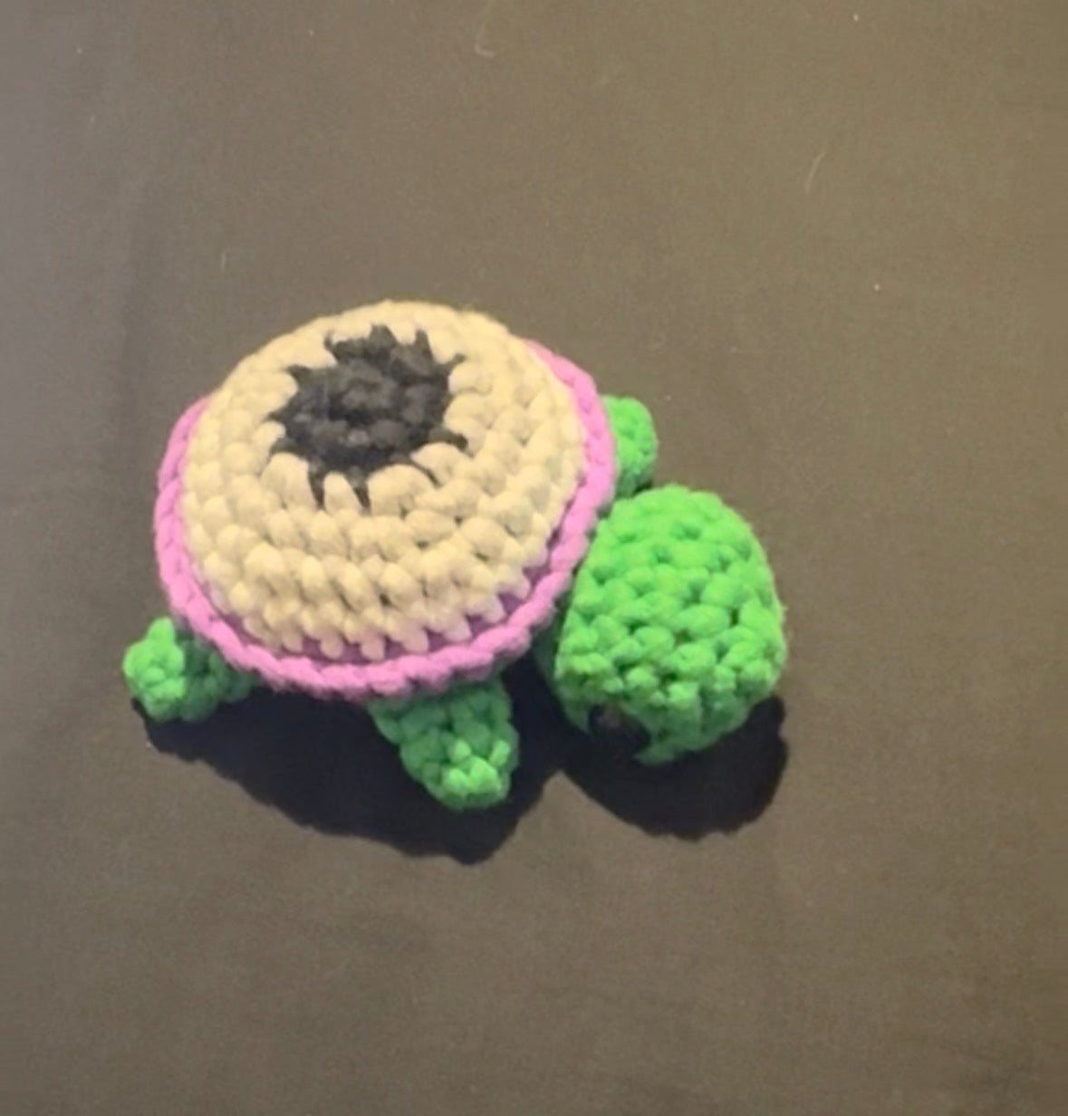 Pride Turtles