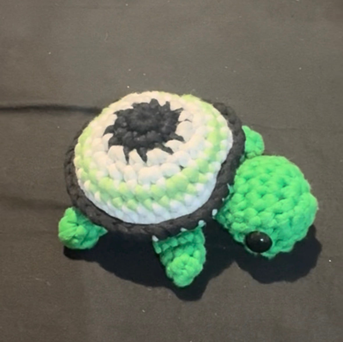 Pride Turtles