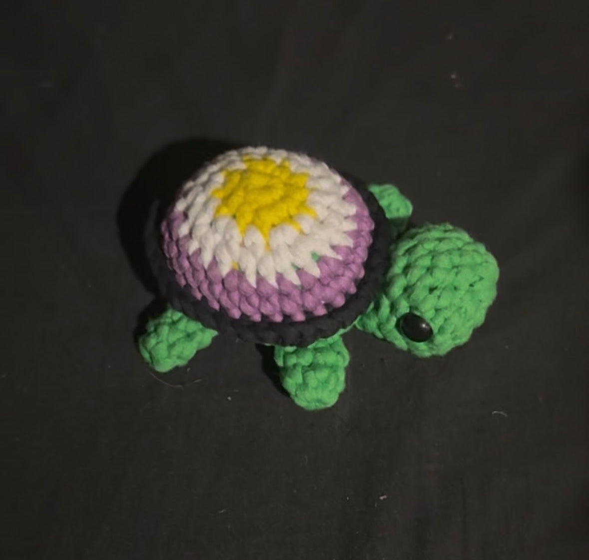 Pride Turtles