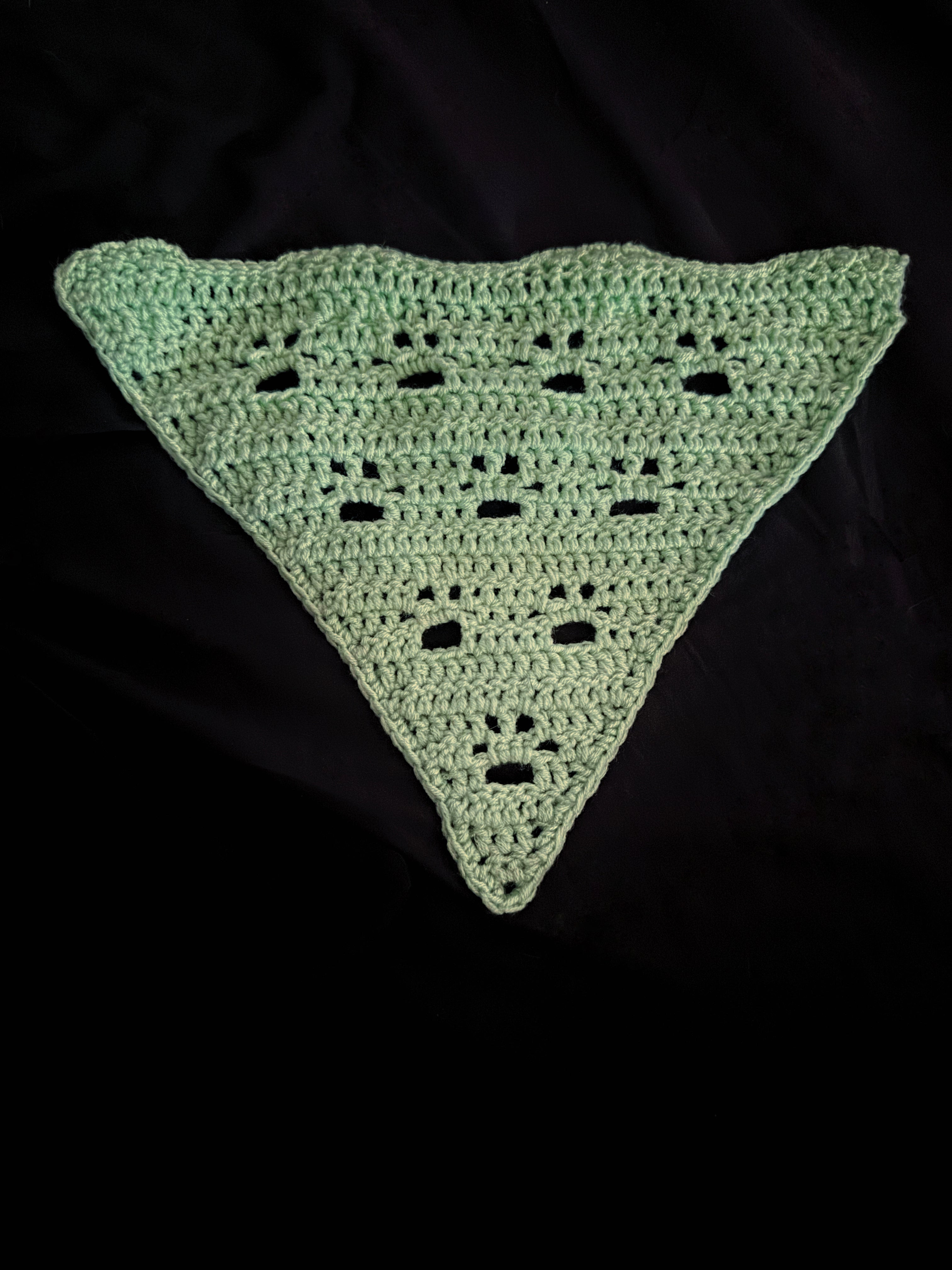 Pet Bandana