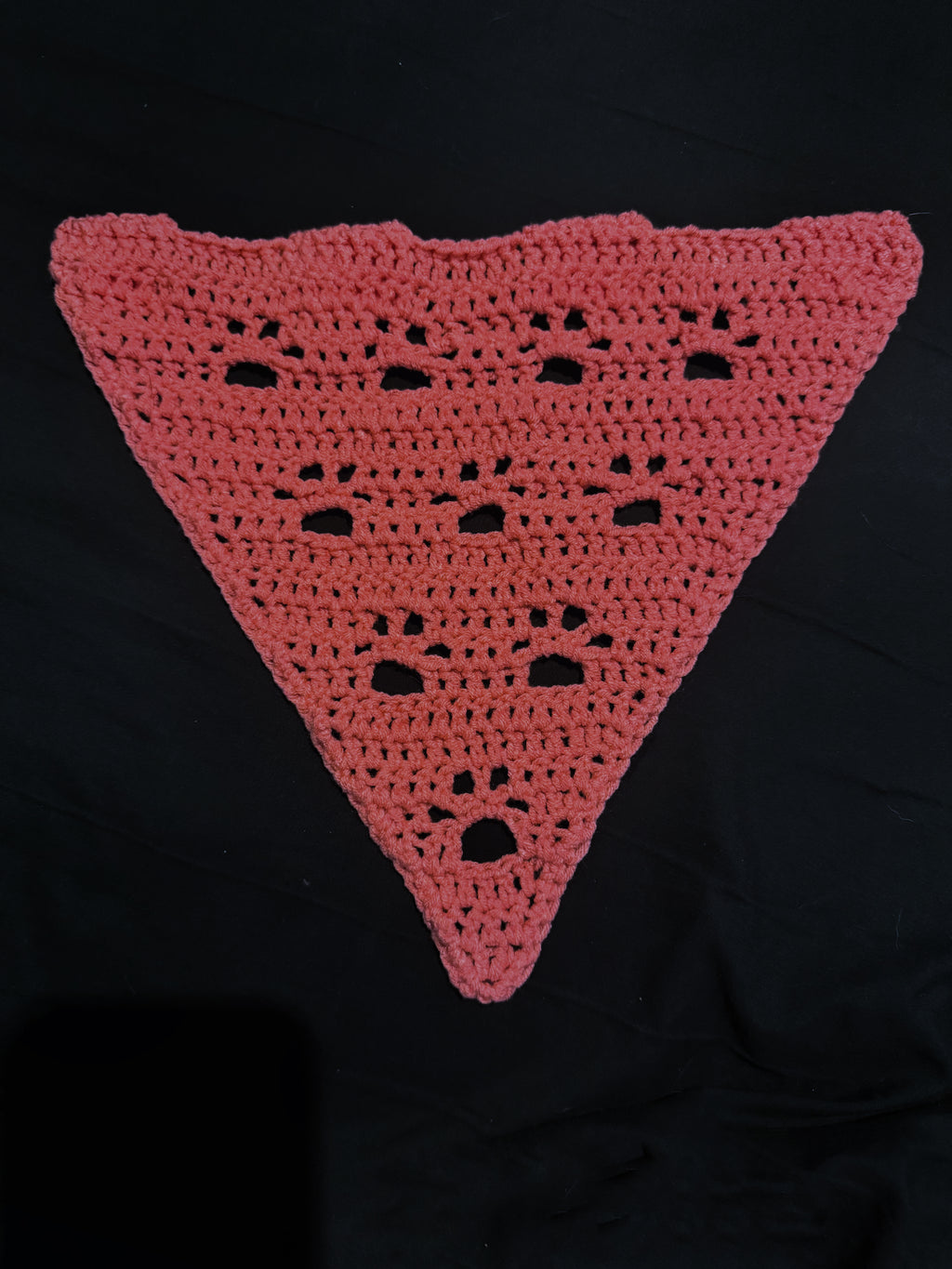 Pet Bandana