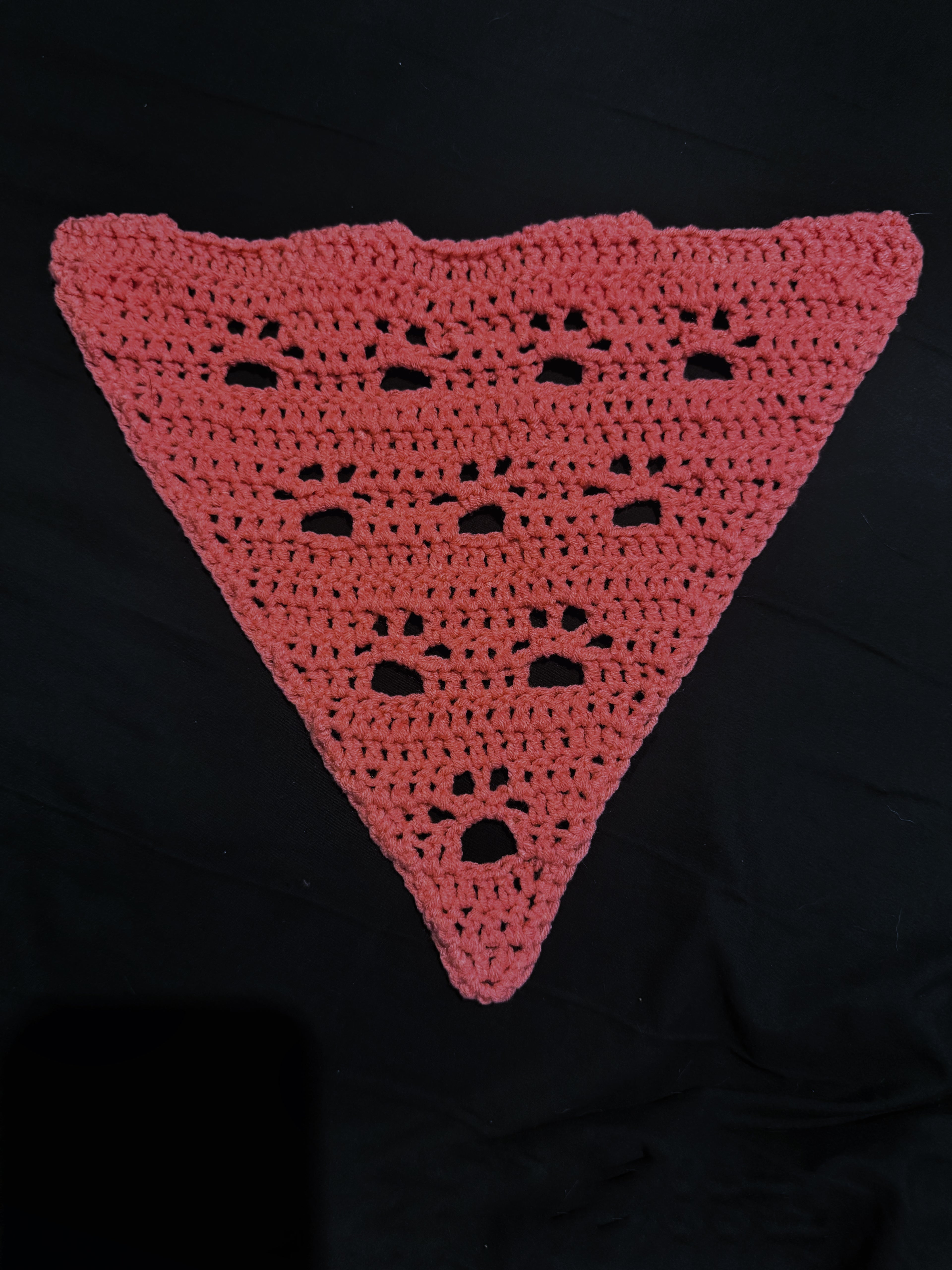 Pet Bandana