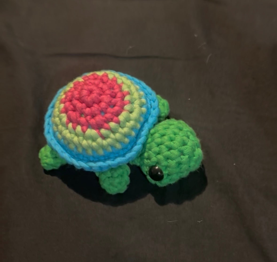 Pride Turtles