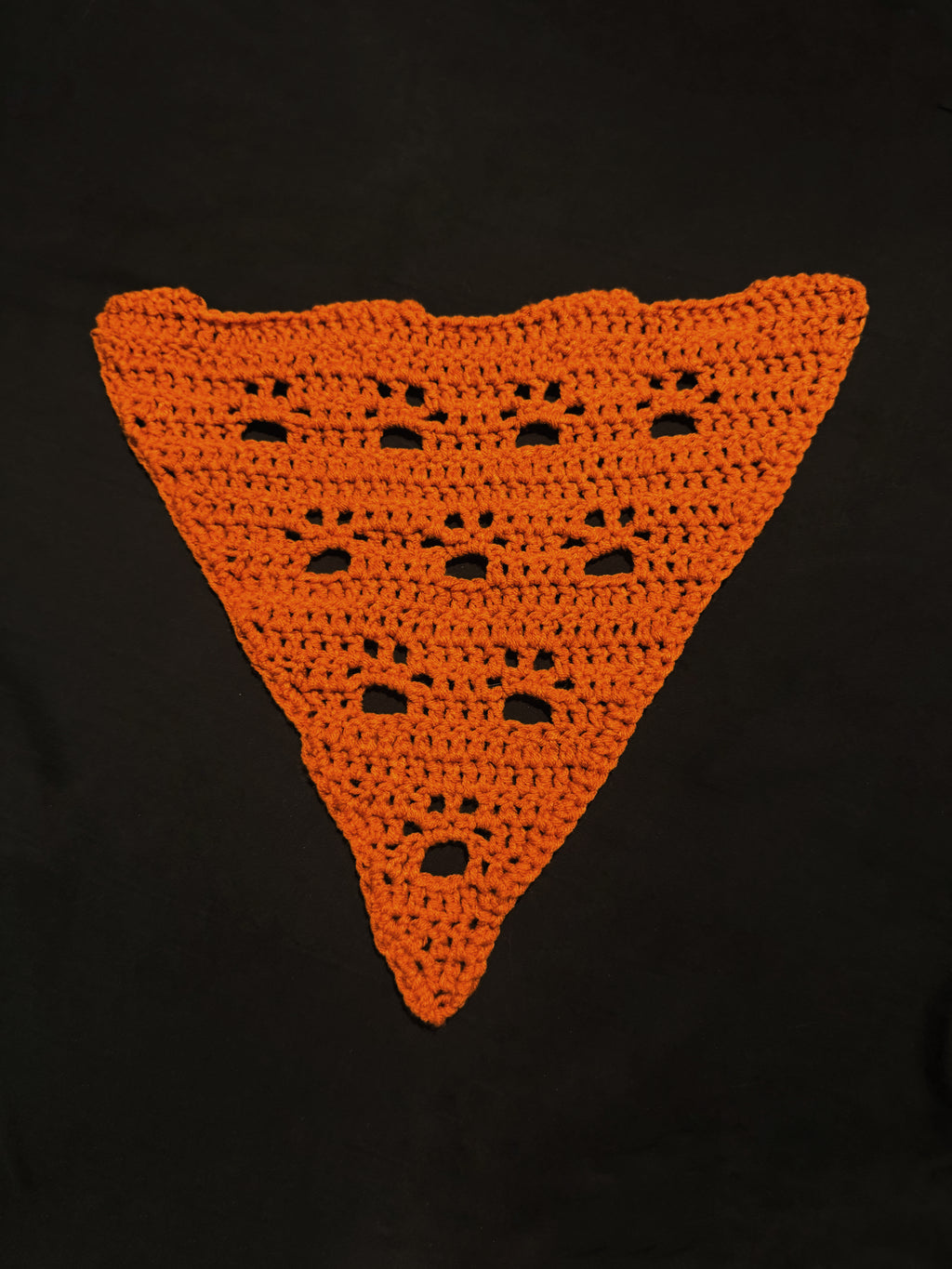 Pet Bandana